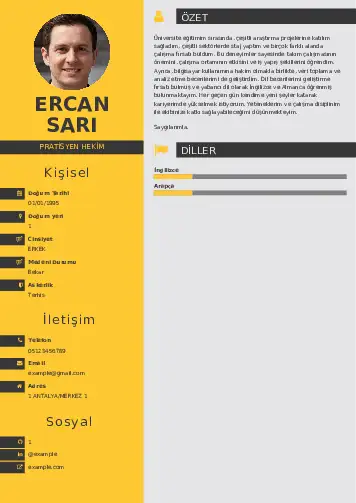 cv indir